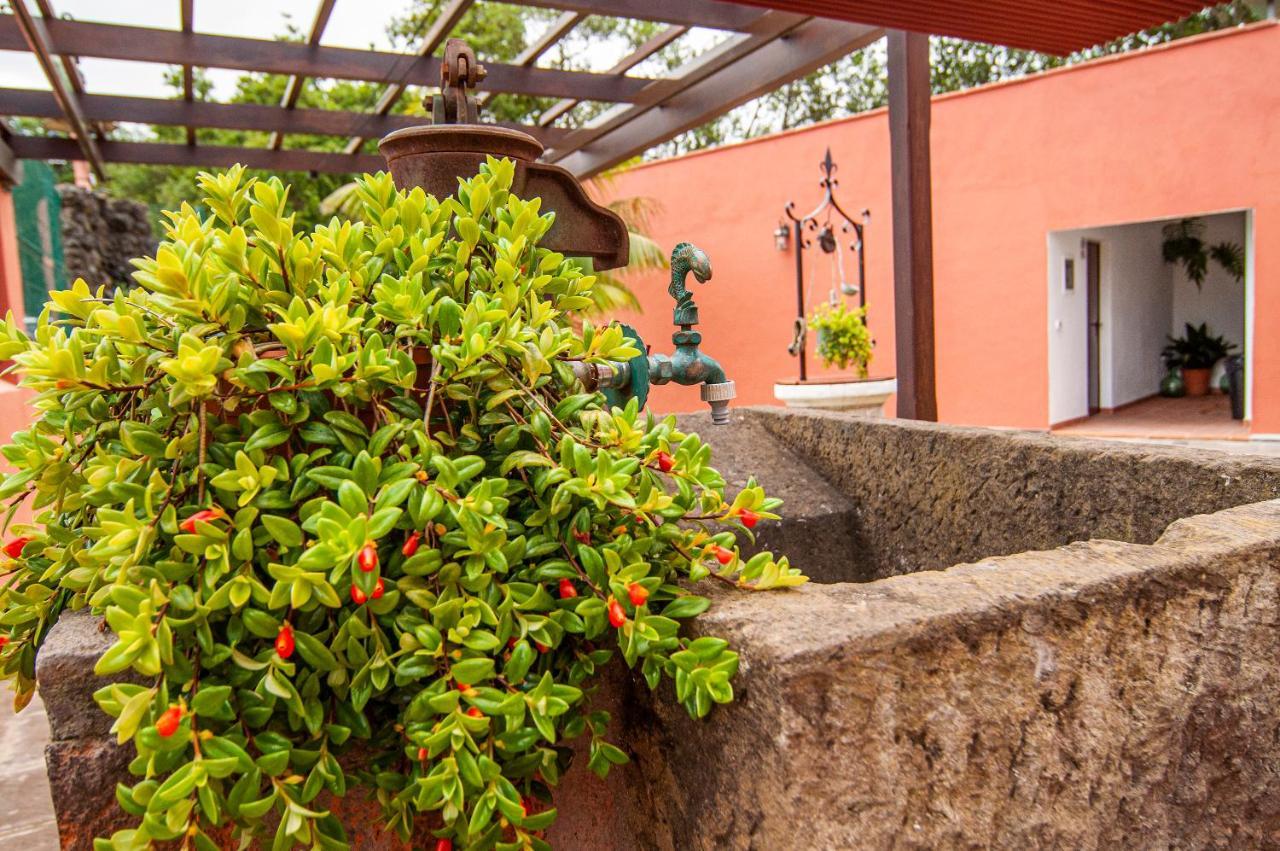 Finca El Pastel Tacoronte Esterno foto