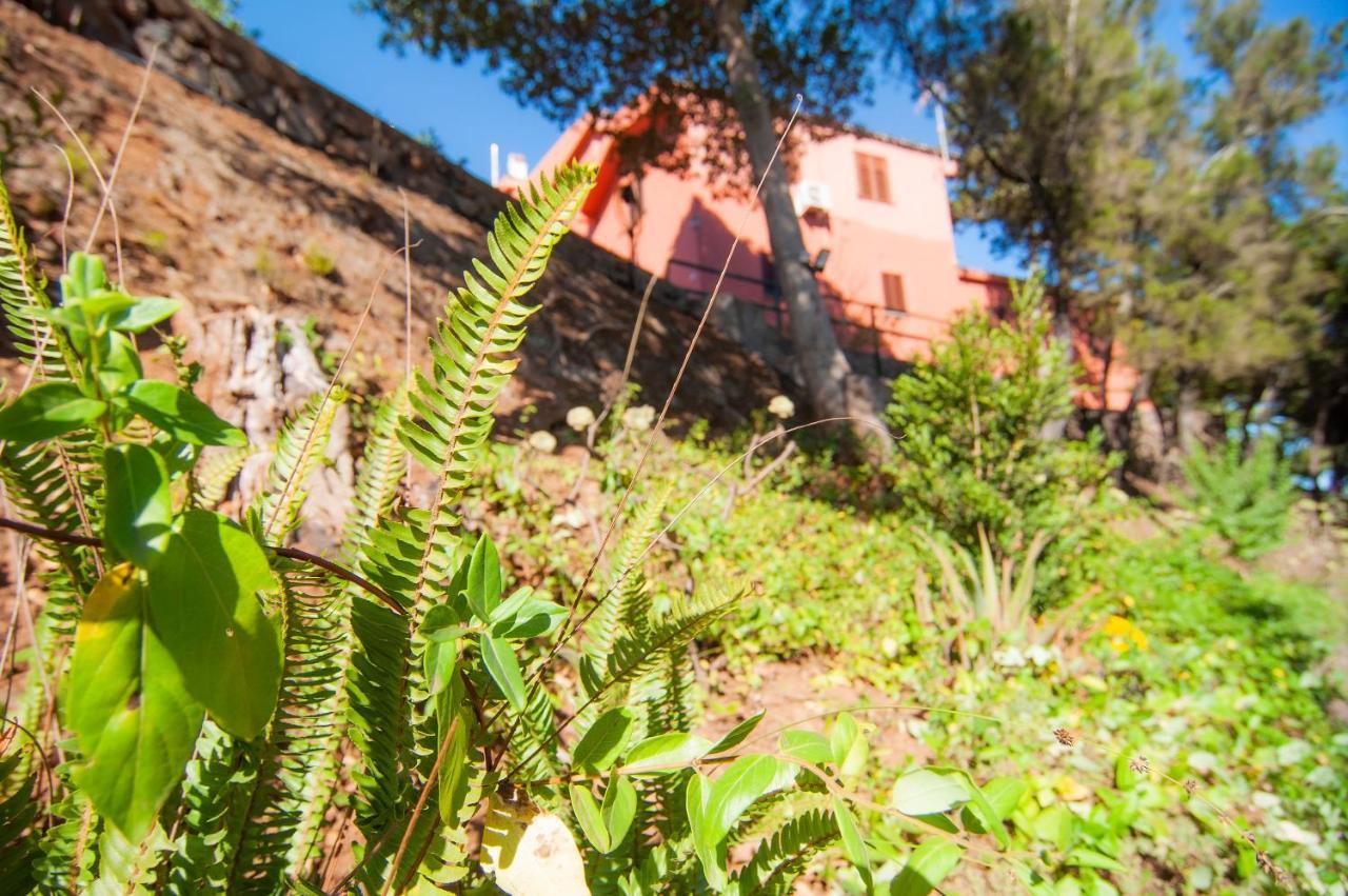 Finca El Pastel Tacoronte Esterno foto